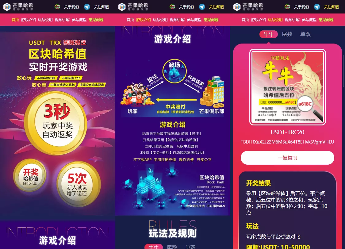 【哈希值竞猜源码】纯合约的返奖辛运哈希源码插图 【哈希值竞猜源码】纯合约的返奖辛运哈希源码插图