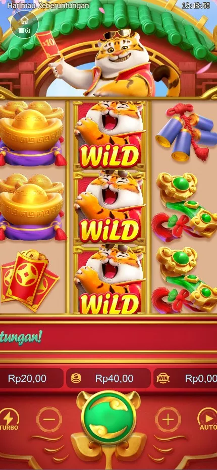 【全新升级巴西PG海外包网】接口可控+真人游戏+棋牌游戏+老虎机+拉霸+多语言PGH5娱乐城插图3 【全新升级巴西PG海外包网】接口可控+真人游戏+棋牌游戏+老虎机+拉霸+多语言PGH5娱乐城插图3