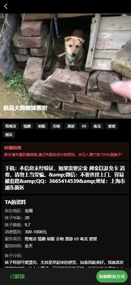 【影视会员系统源码】短视频+会员充值+推广分销+前端UNIAPP+后端PHP插图13 【影视会员系统源码】短视频+会员充值+推广分销+前端UNIAPP+后端PHP插图13