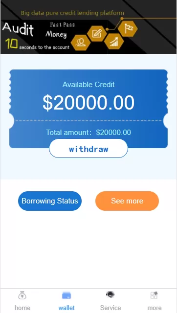 【独家发布】国外流入的英文版小贷源码网站程序/大数据纯信用借贷平台源码插图2