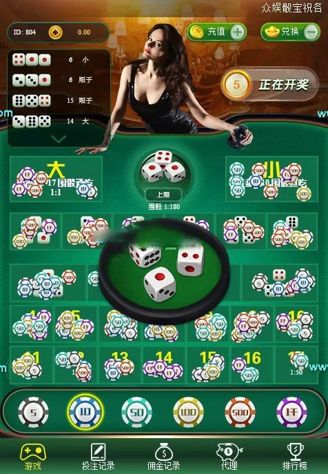 【运营服务器打包】骰宝最终幻想宝塔版本-多码网