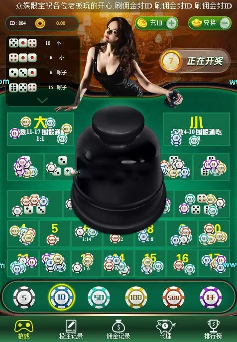 【运营服务器打包】骰宝最终幻想宝塔版本插图2