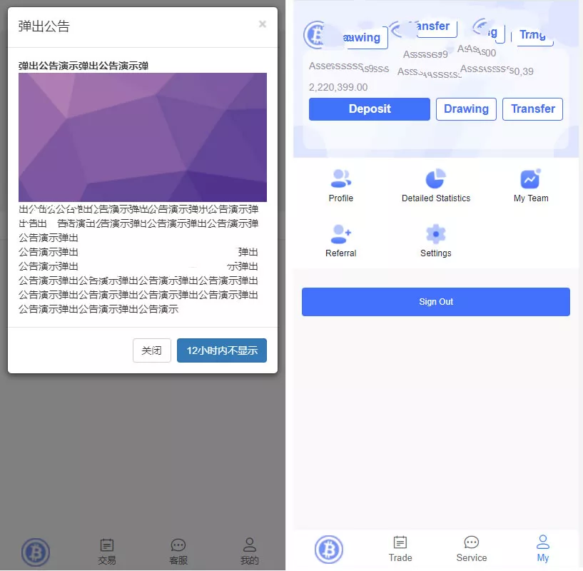 【两套】双语言版虚拟币投资系统 USDT充值源码+出海源码英文版插图1