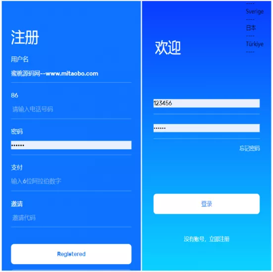 【亚马逊抢单源码】自动抓取订单任务邀请英文+西班牙语可自动切换语言-多码网
