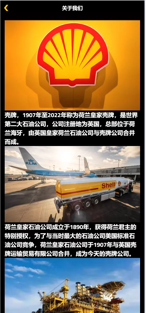 【海外荷兰皇家】壳牌理财投资系统源码插图15