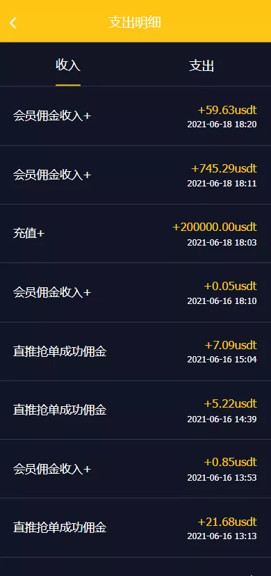 【二开版USDT抢单系统】自动匹配订单+USDT跑分系统插图8