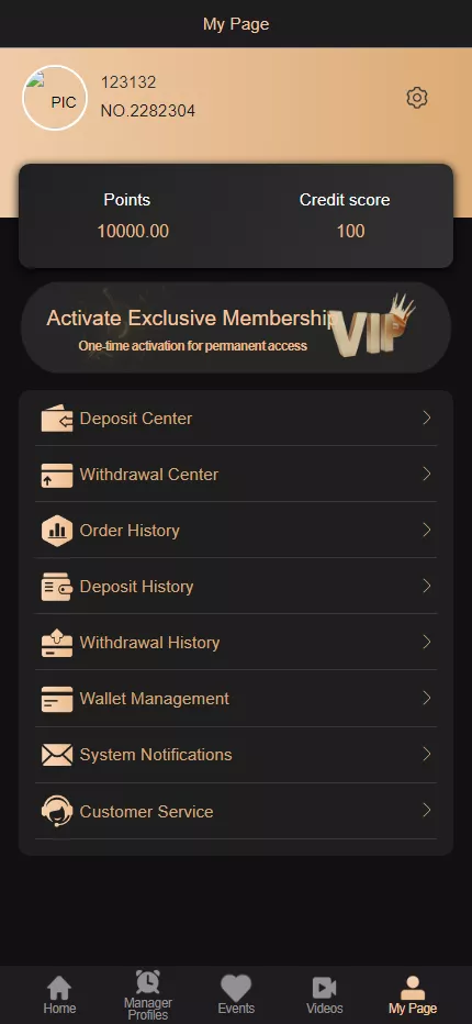 【多语言空降】全新UI模版+前端vue编译后插图9