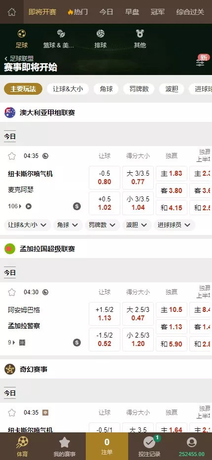 【皇冠体育盘源码】多语言反波球盘信用盘源码+足球篮球体育盘插图4