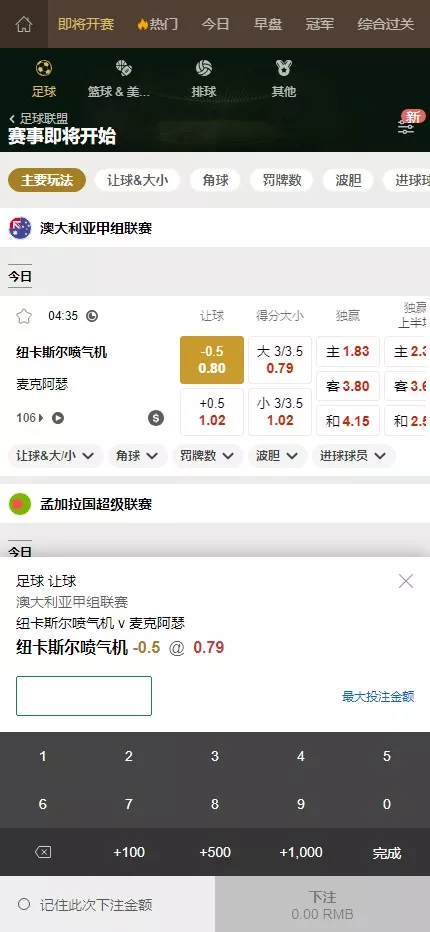 【皇冠体育盘源码】多语言反波球盘信用盘源码+足球篮球体育盘插图5